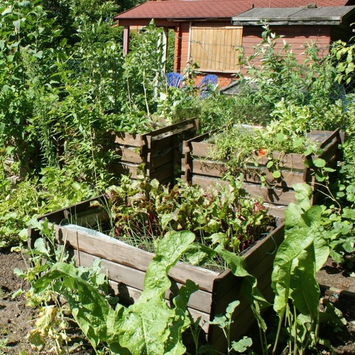 Anlegen und arbeiten mit einem Hochbeet im Garten