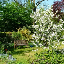 Pflanzenschutzliche Gartenbegehung