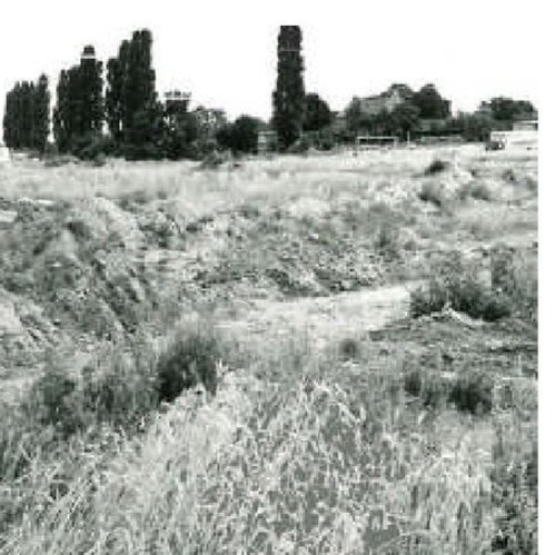 Zur Info: Gründungstag des KGV Rosenthal-Süd